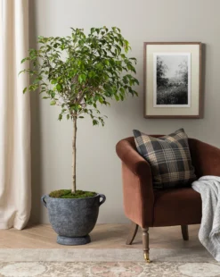 Clemence Lounge Chair -Evergreen Furniture Store 20230608 SS FallCatalogue 005 T ee04ede0 269e 4bb7 9ff1 3f642333fe01