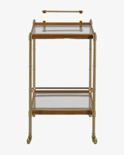 Bexley Bar Cart -Evergreen Furniture Store BexleyBarCart MFRN2809 SBR OS D2 T