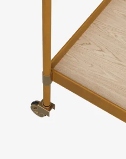 Brenna Bar Cart -Evergreen Furniture Store BrennaBarcart MFRN2576 BWN OS D4