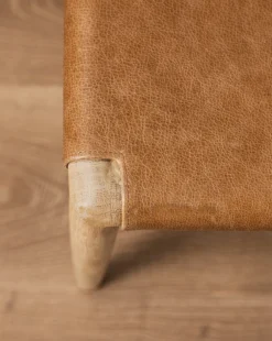 Danson Chair -Evergreen Furniture Store DansonChair MFRN1130 NAT OS D2 T 514274b9 43fe 4c5f a127 5e50d0a13e01