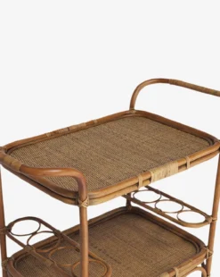 Ridgeway Bar Cart 7 Ridgeway Bar Cart -Evergreen Furniture Store RidgewayBarCart MFRN2714 ATQ OS D1